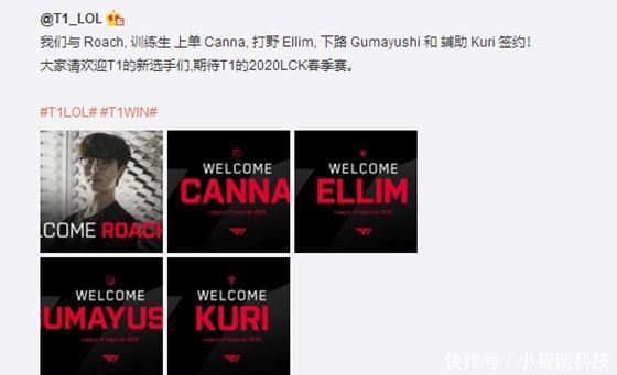 延期的反应 延期的反应