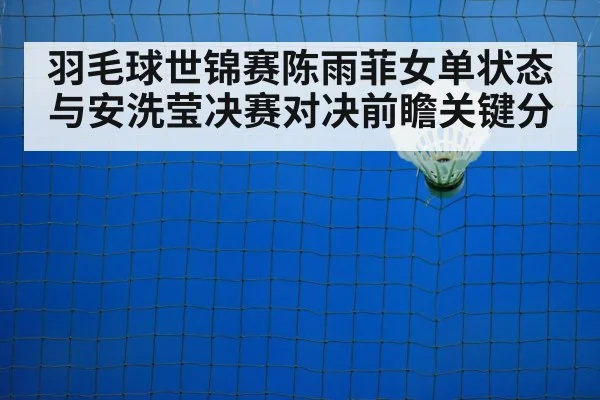 badminton net shot rally